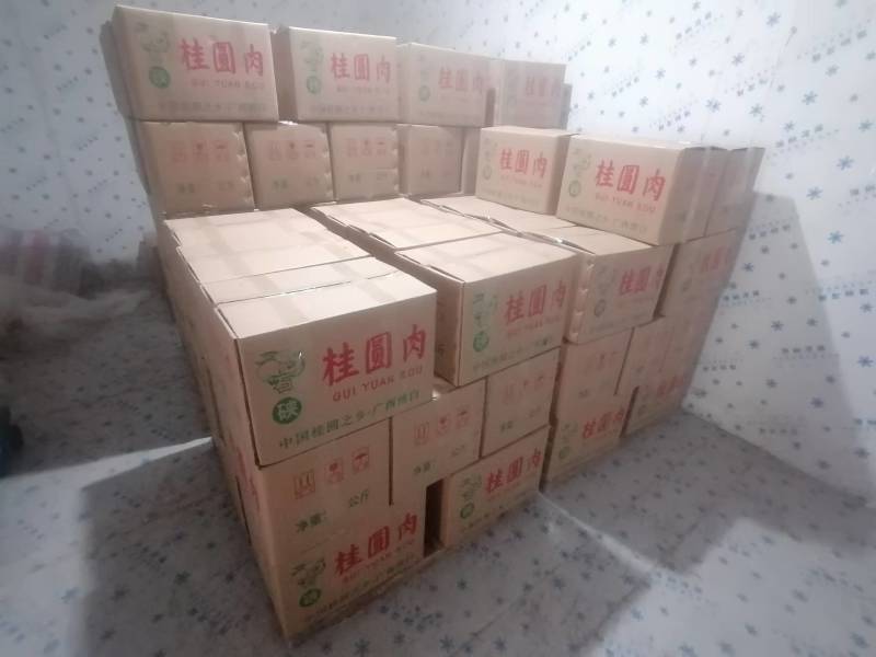 桂圆肉广西桂圆肉龙眼肉优质无硫南药园直供