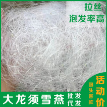 龙须雪燕云南拉丝雪燕素燕窝血燕纯龙须植物雪燕