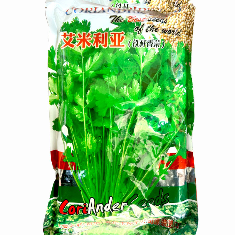 艾米利亚铁杆香菜种子进口芫荽香味浓郁大田基地品种