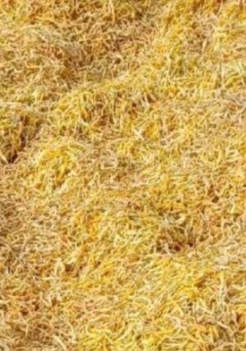 无硫蒸哂干黄花菜货源充足保质保量欢迎联系