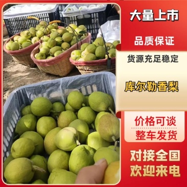 库尔勒香梨基地直发脆甜多汁品质保障对接商超市场等