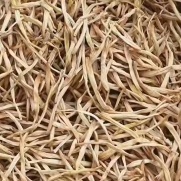 湖南衡阳祁东，干黄花菜批发，量大从优欢迎联系！