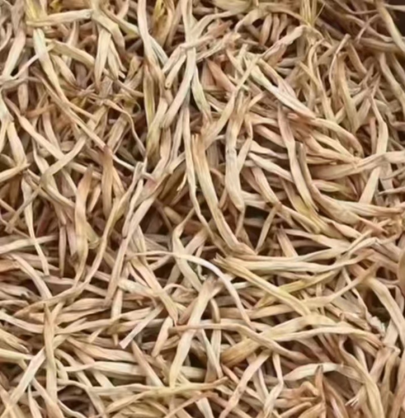 湖南衡阳祁东，干黄花菜批发，量大从优欢迎联系！
