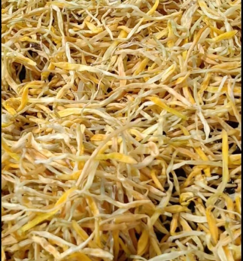 湖南衡阳祁东，干黄花菜批发，量大从优欢迎联系！