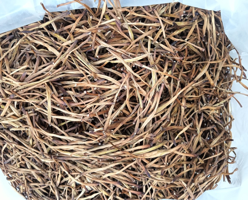 湖南衡阳祁东，干黄花菜批发，量大从优欢迎联系！