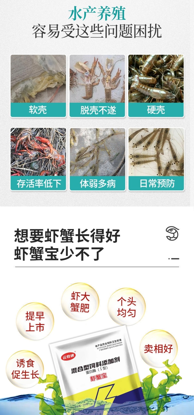 虾蟹宝虾蟹催肥促长调理肠道改善体质开胃健肠