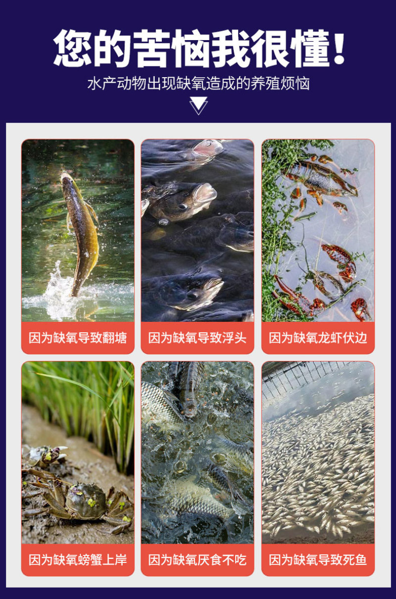 增氧片增氧颗粒鱼塘增氧底改片增氧剂预防缺氧