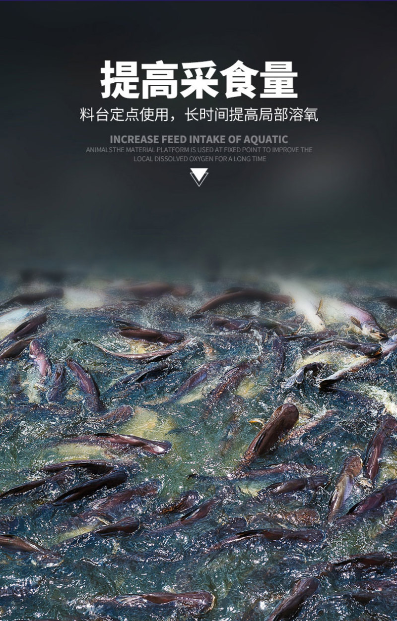 增氧片增氧颗粒鱼塘增氧底改片增氧剂预防缺氧