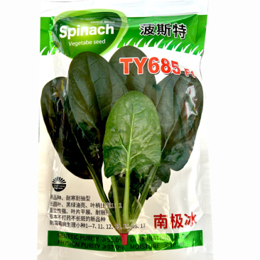 菠特特TY685F1南极冰耐寒耐抽长圆叶黑绿油亮耐霜霉冰