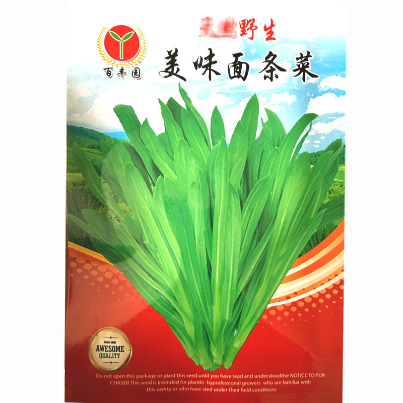 野生蔬菜面条菜种子批发四季种植耐寒60天上市麦瓶草种子