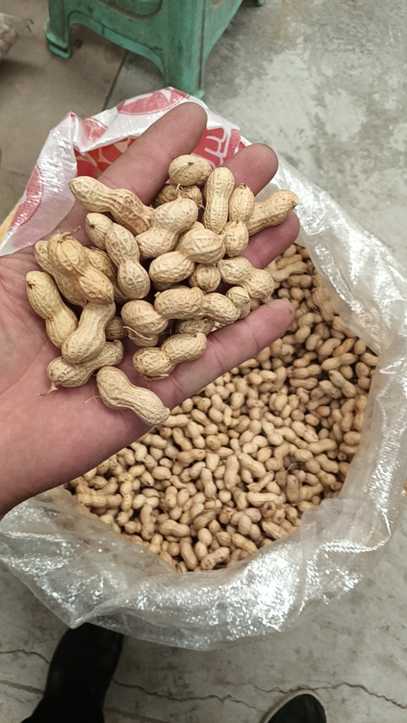 24年新货四川蒜香炒花生厂家直发品类齐全欢迎联系