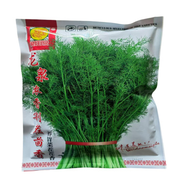 龙泉浓香割茬茴香种子高产抗病扁梗小茴香种子多刀采收