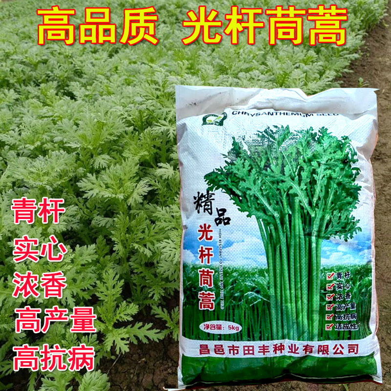 光杆茼蒿种子批发皇帝菜种籽无纤维青菜叶菜四季蔬菜种子