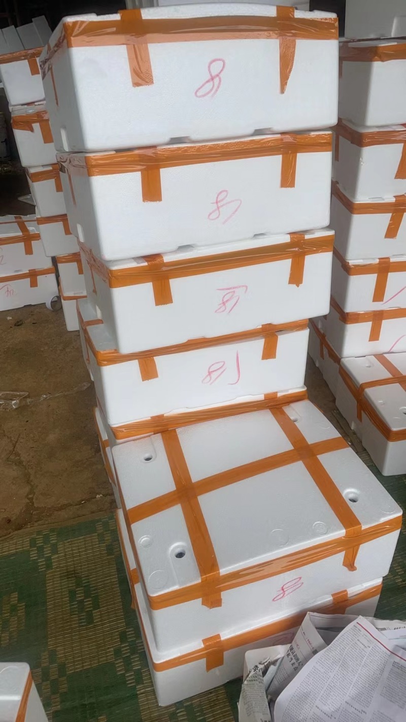 （推荐）广西红心木瓜水果木瓜1~2.5欢迎全国客商