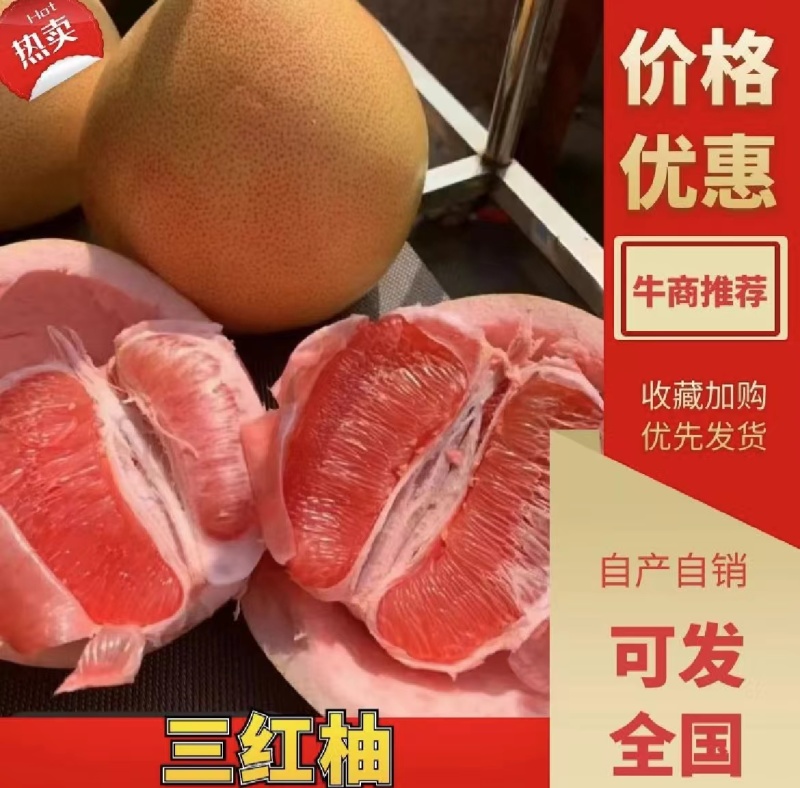 【实力推荐】红心柚湖北套袋红柚可视频看货品质保证