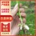 白芨直播苗，块茎0.3至1公分，量大从优，欢迎来电咨询