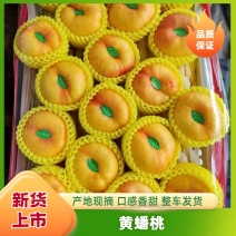 山东油蟠桃，果园直供，产地一手货源，口感甜脆