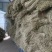 粉条红薯粉条纯手工基地供应全国直销欢迎各大老板采购