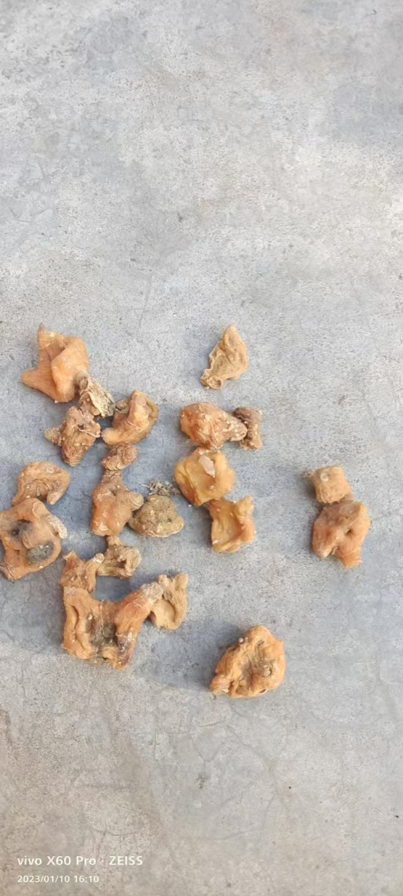 【黄精-滇黄精】大量有货质量保证欢迎咨询可零售可批发