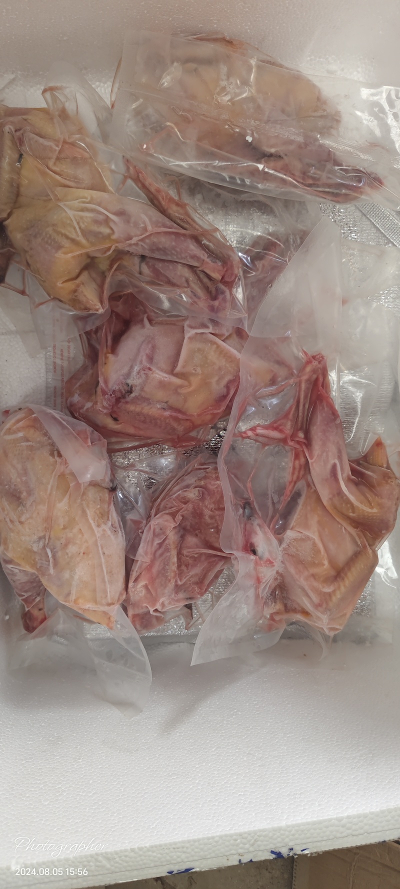 【优选】白条鸡七彩山鸡注重品质健康好货诚信经营