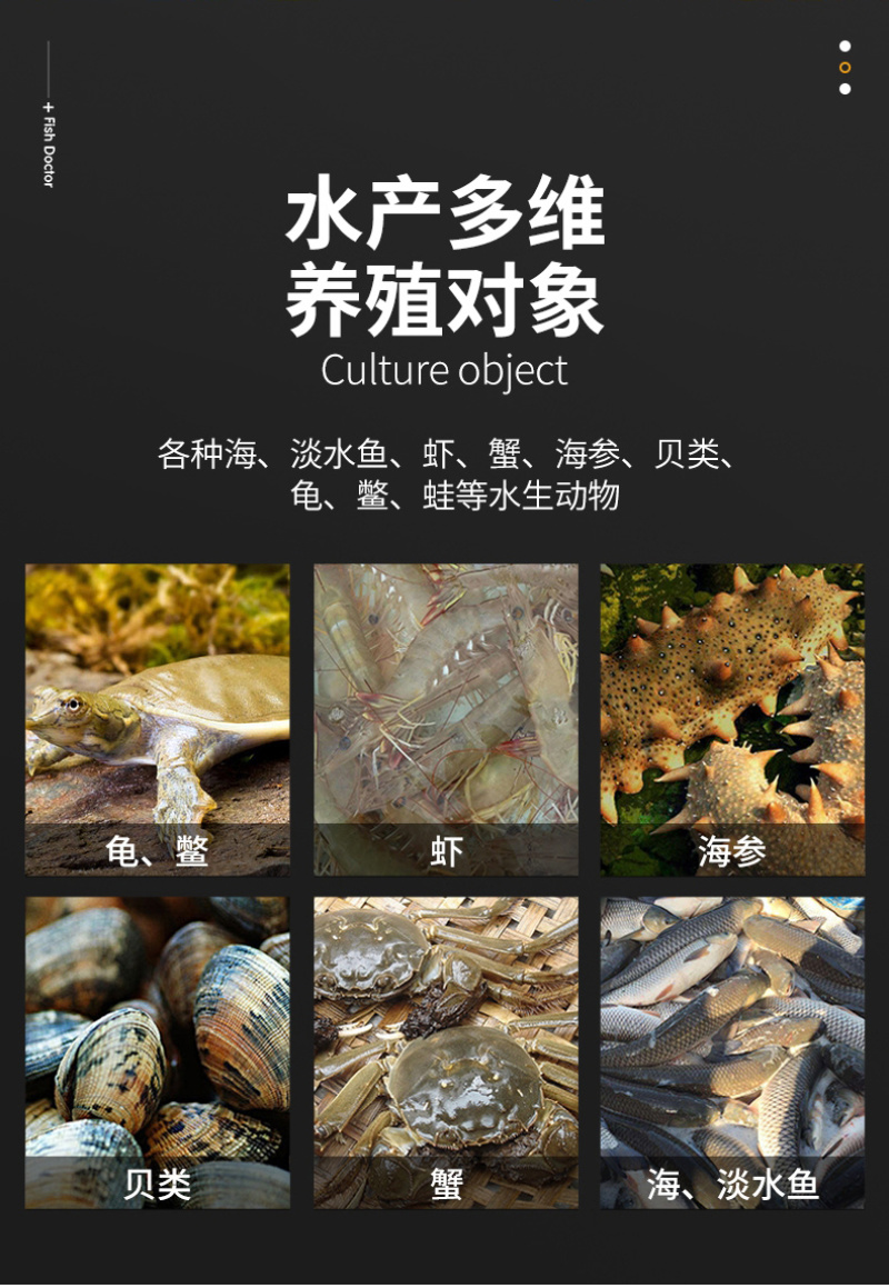 复合维生素水产专用诱食抗应激提高免疫力厂家直销