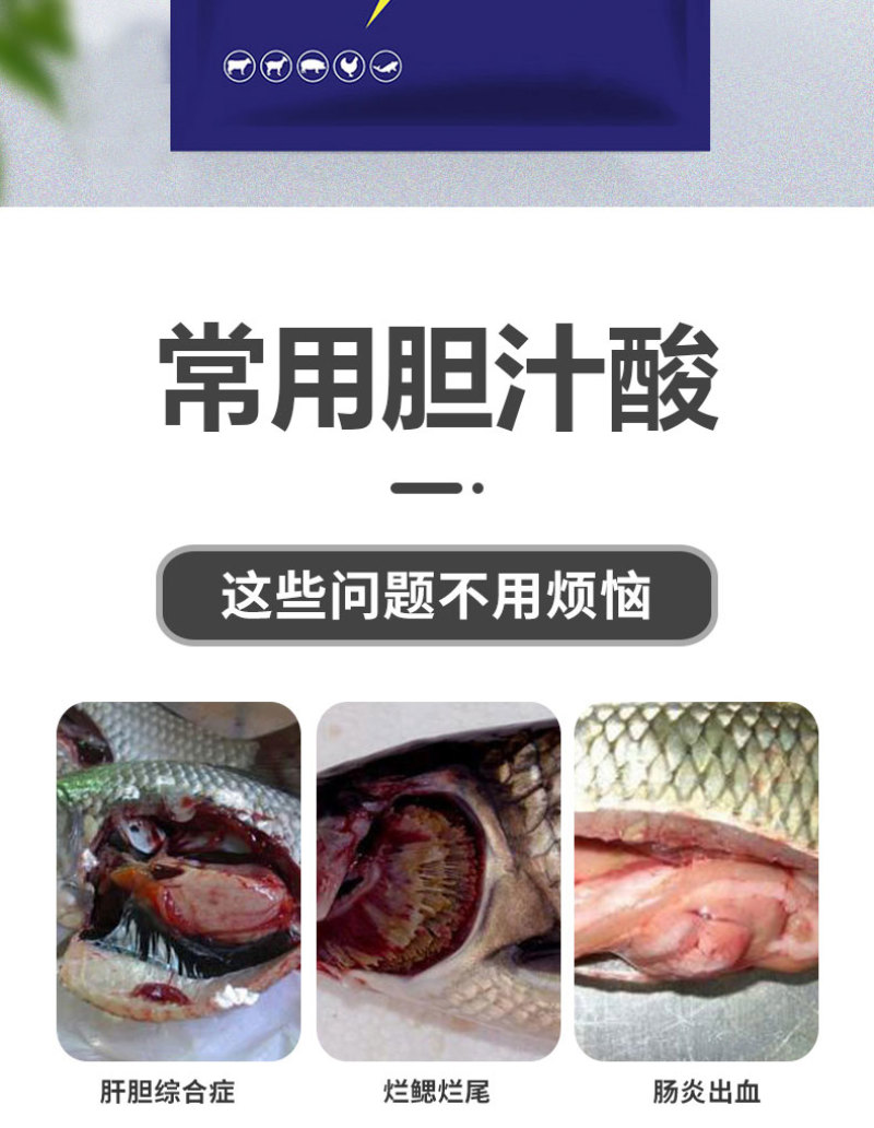 胆汁酸水产专用鱼虾蟹养殖保肝护胆促进消化靓体促长