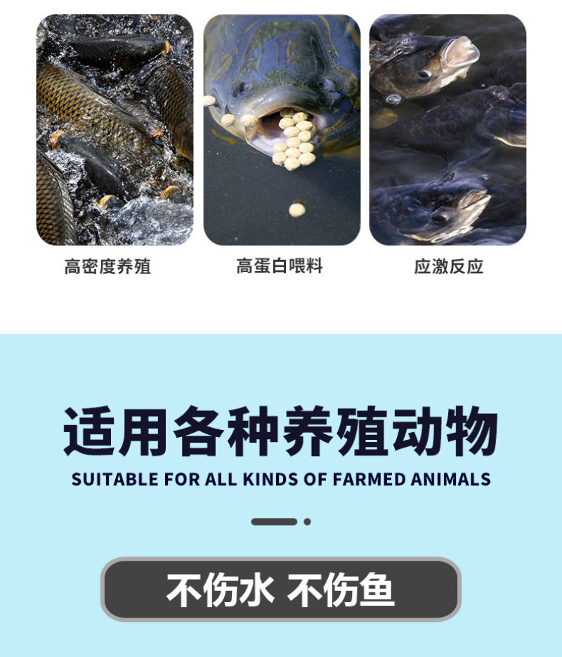胆汁酸水产专用鱼虾蟹养殖保肝护胆促进消化靓体促长