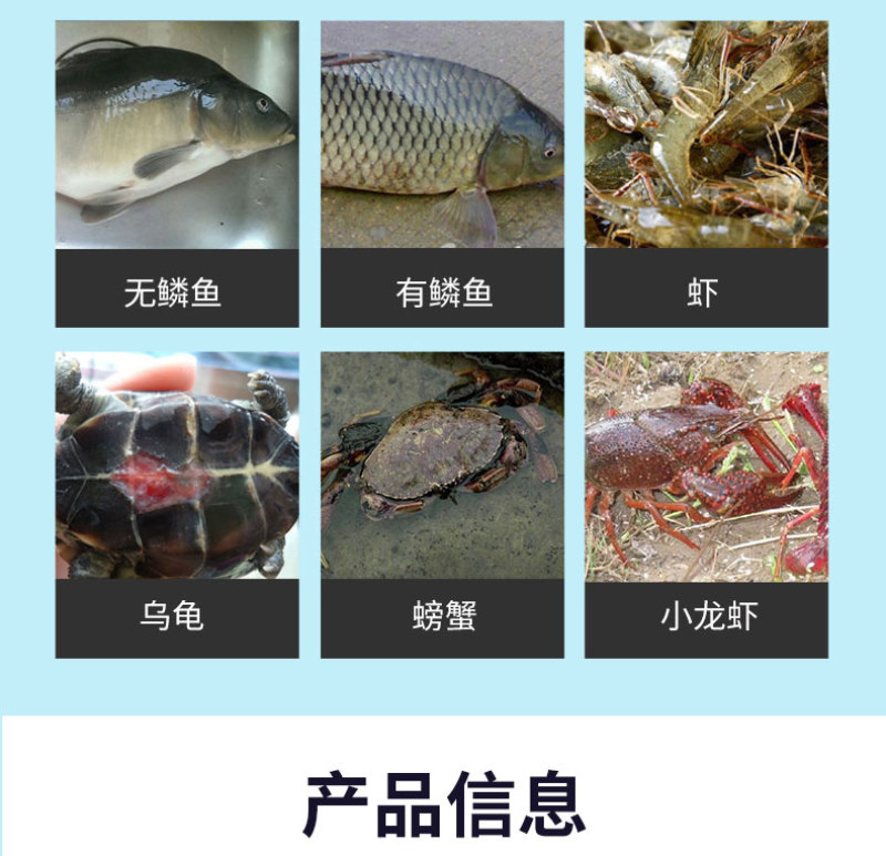 胆汁酸水产专用鱼虾蟹养殖保肝护胆促进消化靓体促长