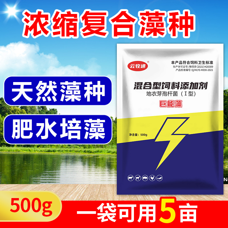 巨能藻高浓缩复合藻种肥水培藻有机藻肥厂家直销