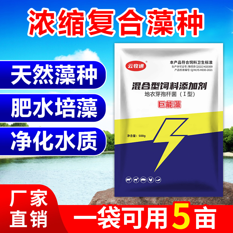 巨能藻高浓缩复合藻种肥水培藻有机藻肥厂家直销