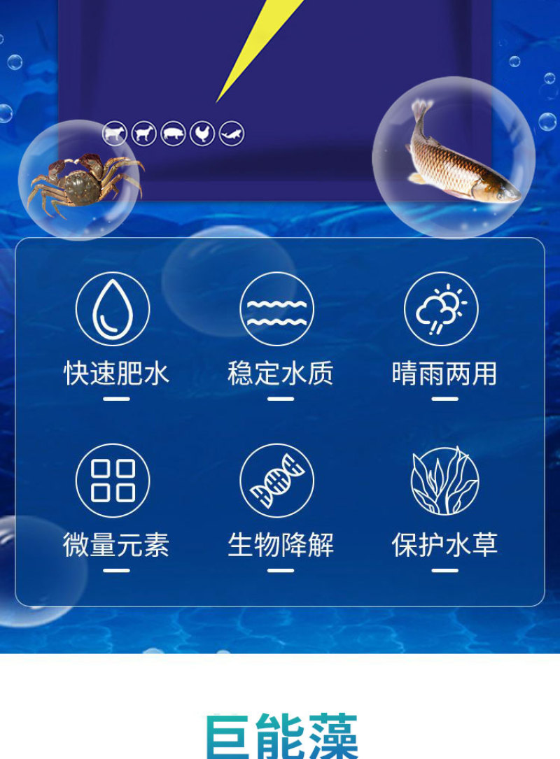 巨能藻高浓缩复合藻种肥水培藻有机藻肥厂家直销