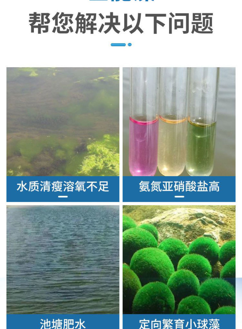 巨能藻高浓缩复合藻种肥水培藻有机藻肥厂家直销