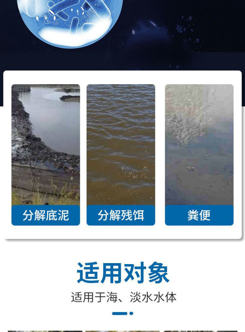 巨能藻高浓缩复合藻种肥水培藻有机藻肥厂家直销