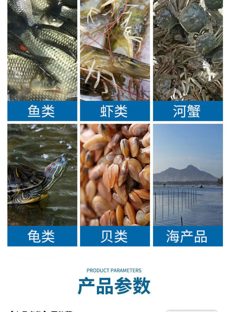 巨能藻高浓缩复合藻种肥水培藻有机藻肥厂家直销