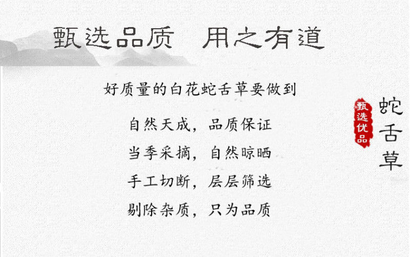 白花蛇舌草白花蛇草天然蛇舌草可搭配半枝莲