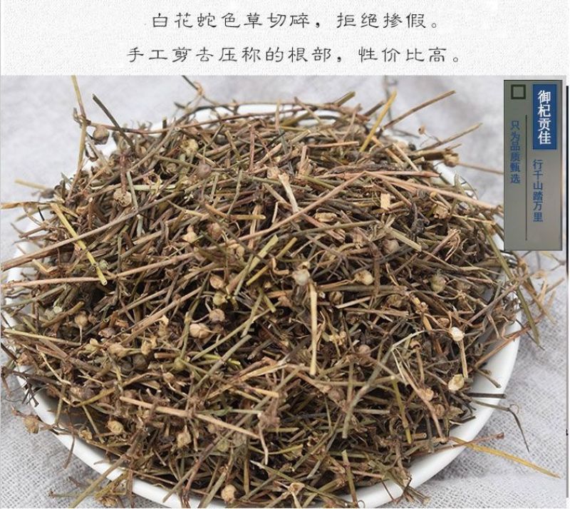 白花蛇舌草白花蛇草天然蛇舌草可搭配半枝莲