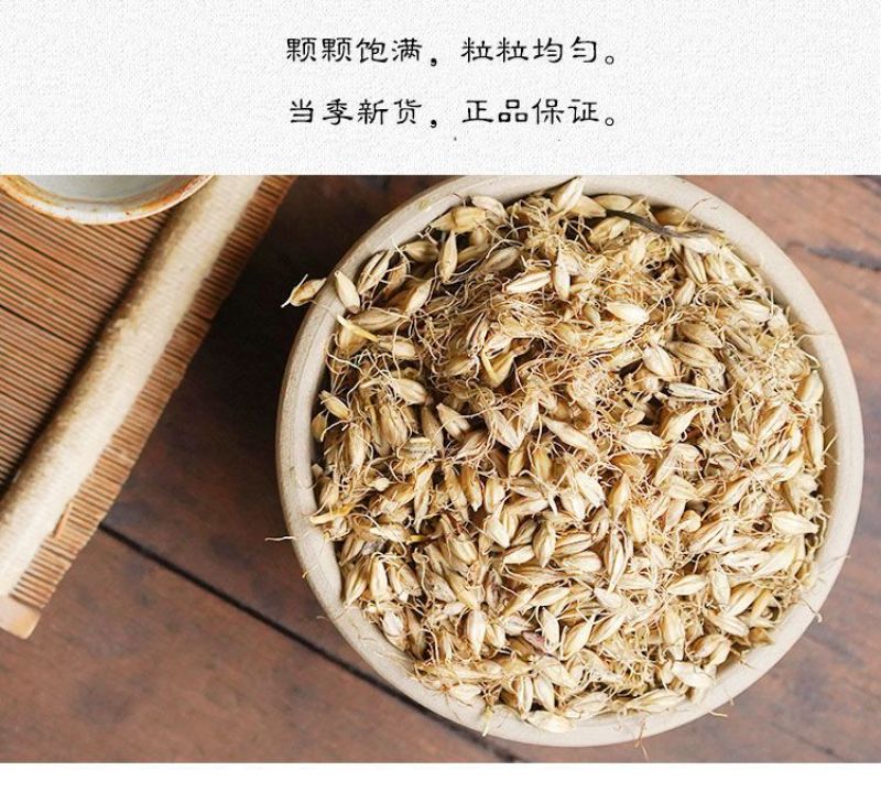 中药材麦芽生麦芽炒麦芽正品保证净货***