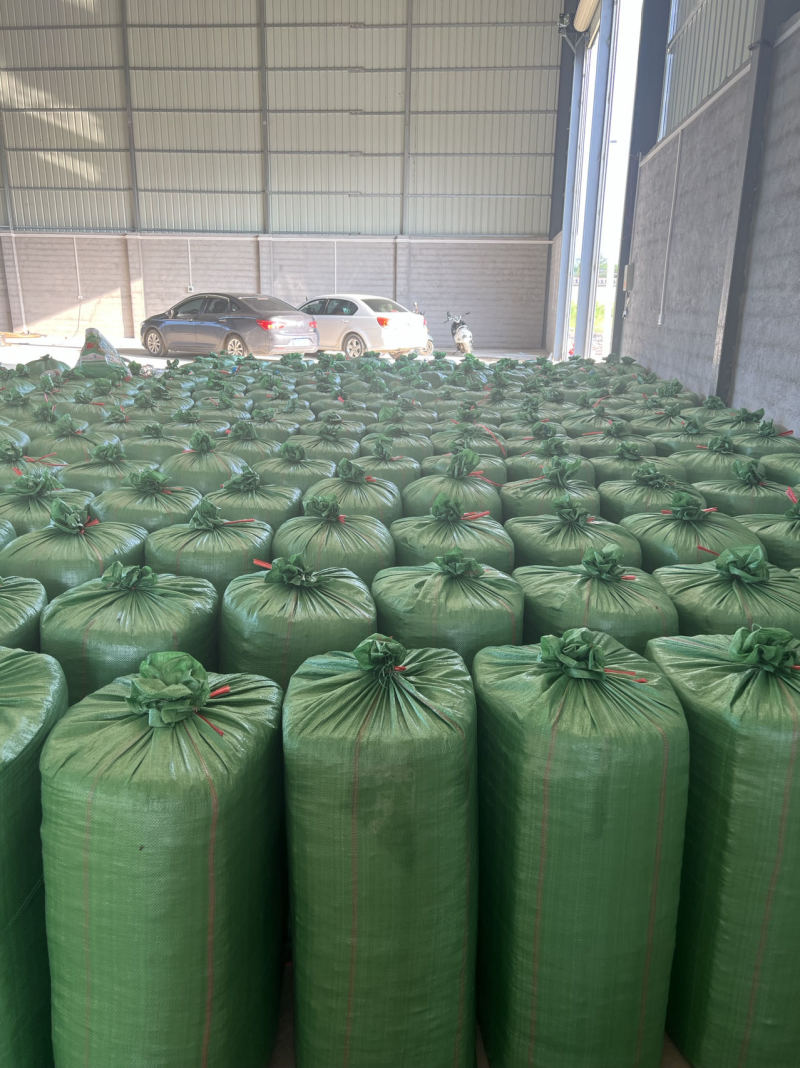 【抢购】玉米秸秆生产的牧草量大从优运费自理需要来电