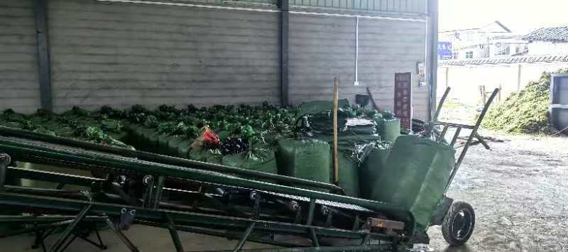 【抢购】玉米秸秆生产的牧草量大从优运费自理需要来电