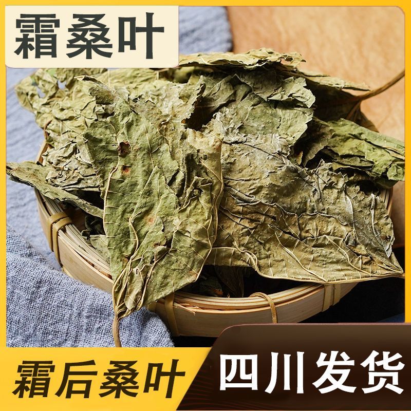 中药材桑叶霜桑叶纯桑叶茶正品霜桑叶霜桑叶茶包邮