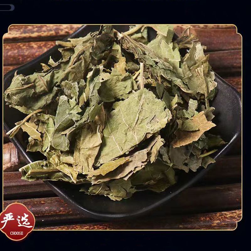 中药材桑叶霜桑叶纯桑叶茶正品霜桑叶霜桑叶茶包邮