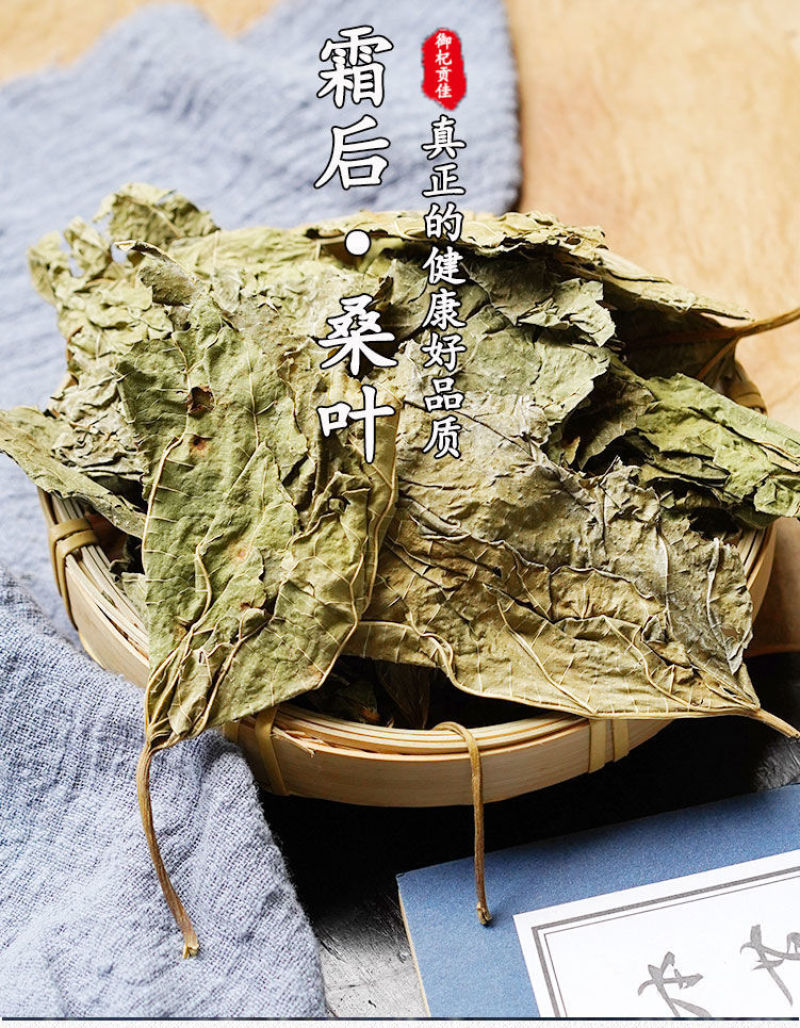 中药材桑叶霜桑叶纯桑叶茶正品霜桑叶霜桑叶茶包邮