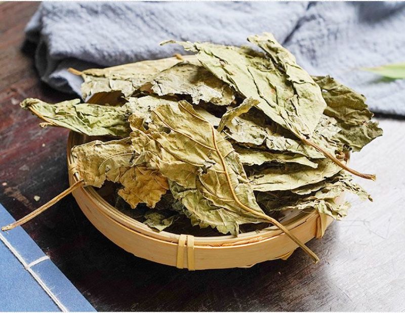 中药材桑叶霜桑叶纯桑叶茶正品霜桑叶霜桑叶茶包邮