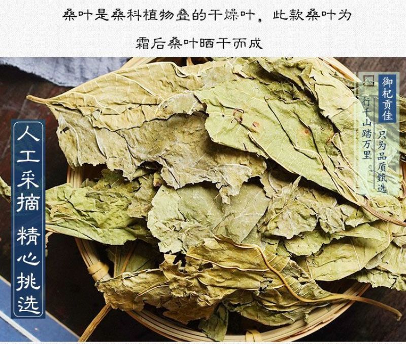 中药材桑叶霜桑叶纯桑叶茶正品霜桑叶霜桑叶茶包邮