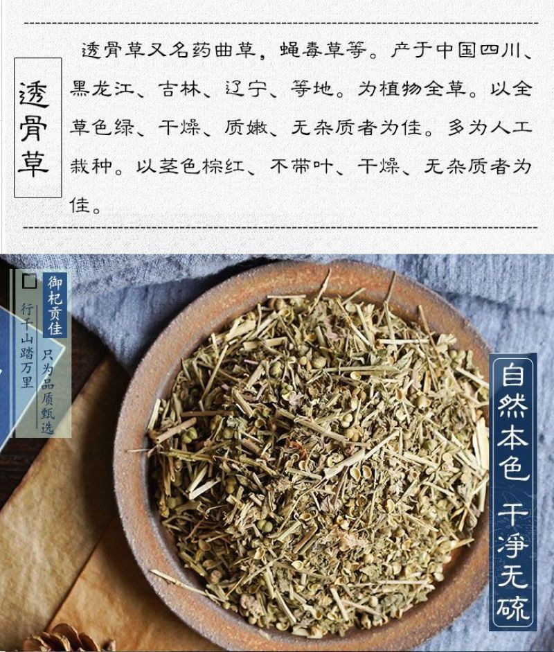 透骨草凤仙透骨草各种规格正品保障专业经营中药批发