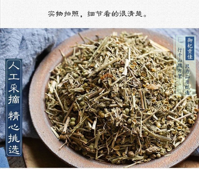 透骨草凤仙透骨草各种规格正品保障专业经营中药批发