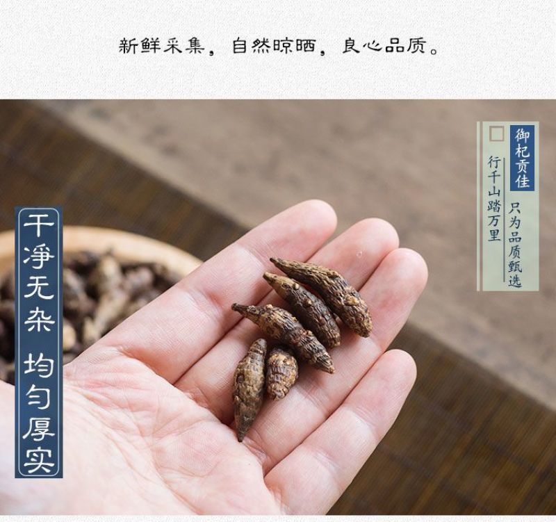 中药材特级野生香附子香附茶生香附片醋香附子制香附子粉