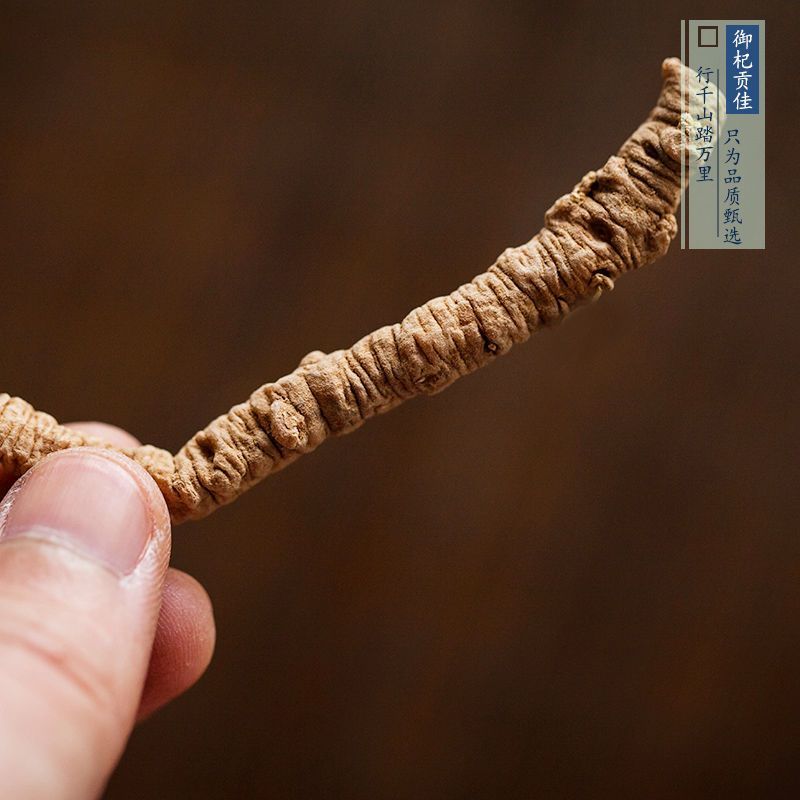 远志，中药材远志远志筒质量保证现货供应欢迎咨询合作