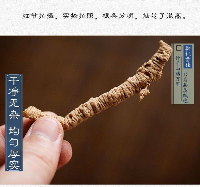 远志，中药材远志远志筒质量保证现货供应欢迎咨询合作