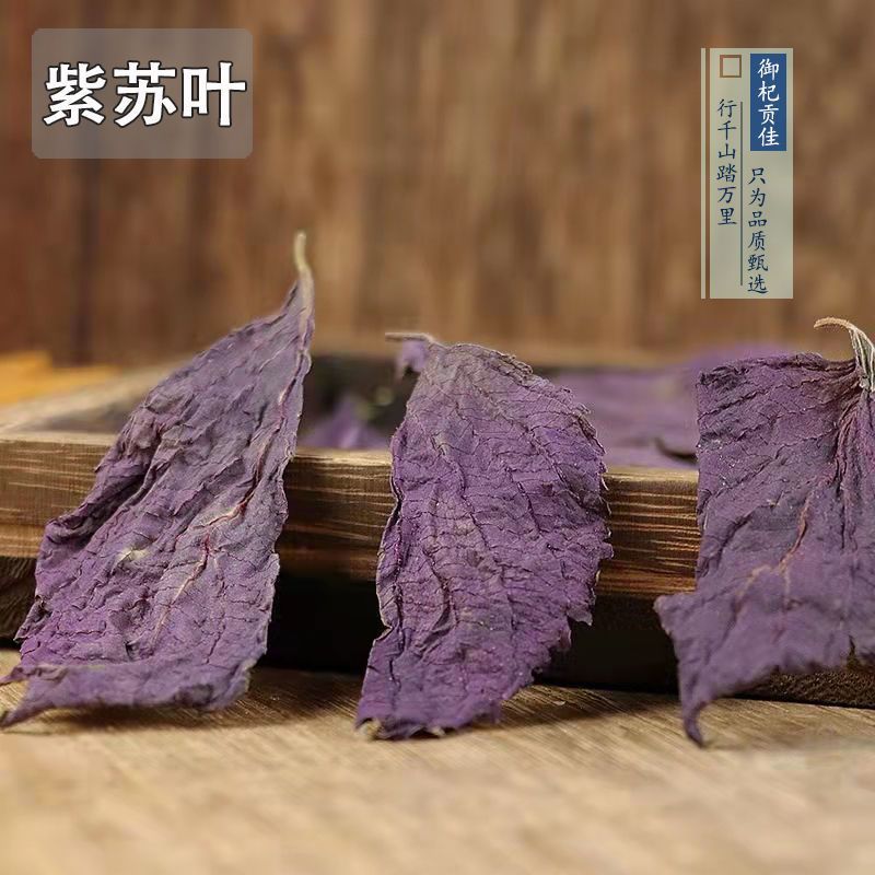 紫苏叶药用干货各种中药材批发零售各种紫苏叶中药材